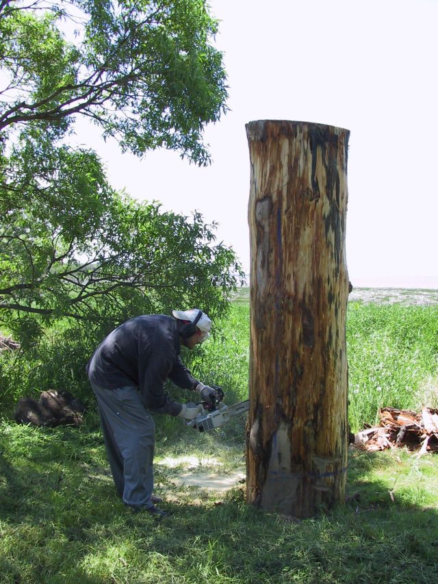 Photo inconnue, 2002, coll. Municipalité de Saint-Jean-Port-Joli.